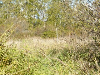 Picture of Point Roberts Parcel Number 405303-118035